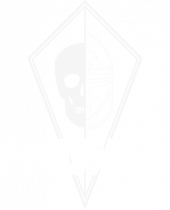 Shield Logo Pridwen