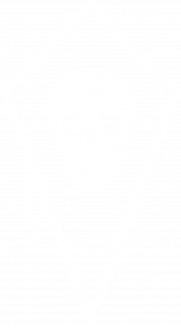 Pridwen Shield Skull WHITE